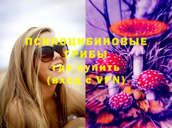 гашик Мегион